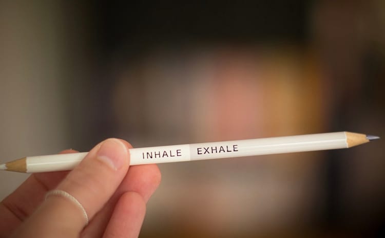 The Savage Engine Runs on Air: Why Your Breathing is Broken